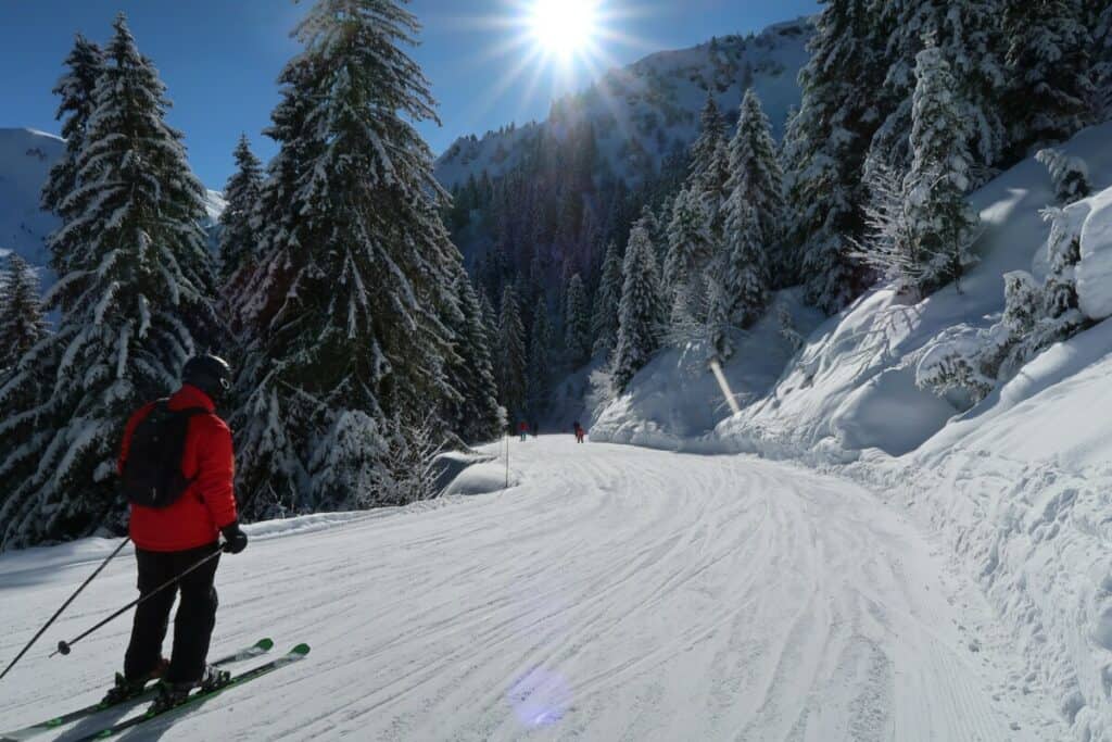 As a beginner, choose skis that are fairly short and flexible